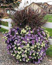 Container Gardening Flowers