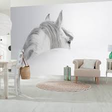 Wall Mural White Horse Muraldecal Com