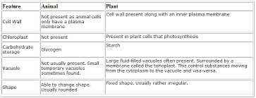 Differences Between Plant And Animal Cell Lusinagao