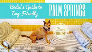dog friendly palm springs