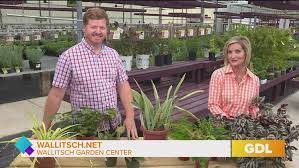 Indoor Gardening With Wallitsch Garden