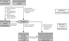 Flow Chart Detailing A Suggested Diagnostic And Decision