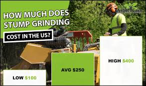 Pro arborist ben mcinerney explains 5 ways you can save a tonne of money.the cost of tree removal comes down to factors you. Stump Removal Cost 2020 Average Prices Arbor Care