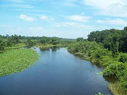 Ocklawaha River Wikipedia