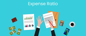 Mutual funds can be purchased in any. Expense Ratio What Is It Why You Should Know About It