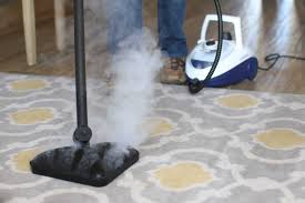 steam clean carpet with a steam mop