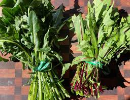 how to cook dandelion greens