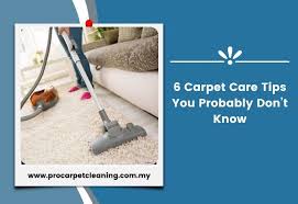 carpet care tips you don t know pro