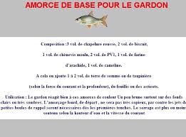 amorce de base pour le gardon