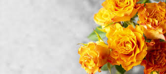 orange yellow rose flowers bouquet
