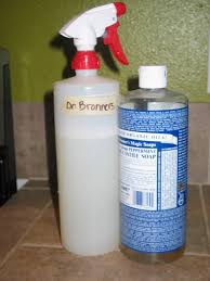 kitchen uses for dr bronner s