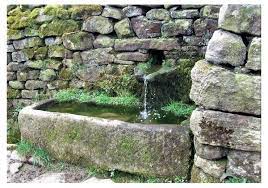 Rustic Beauty Of Antique Stone Troughs