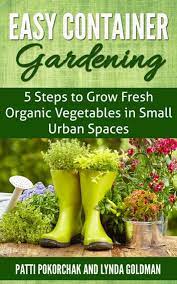 Easy Container Gardening 5 Steps To