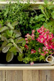 Self Watering Herb Planter Box