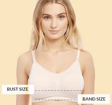 Size Guide Intimates Motherhood Maternity