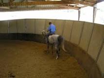 What is a horse pen called?