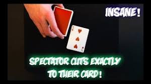 Check spelling or type a new query. A Million Card Tricks Youtube Channel Analytics And Report Powered By Noxinfluencer Mobile