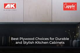 durable and stylish kitchen cabinets