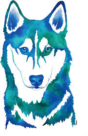 Husky wallpapers for 4k, 1080p hd and 720p hd resolutions and are best suited for desktops, android phones, tablets, ps4 wallpapers. Download Siberian Husky Watercolor Painting Canidae Cute Husky Wallpaper Iphone Png Image With No Background Pngkey Com