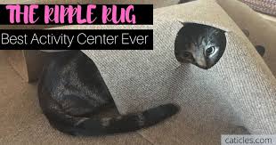 best puzzle rug for cats