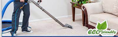 professional carpet cleaning steam