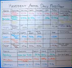 13 Circumstantial Daily Nutrition Recommendations Chart