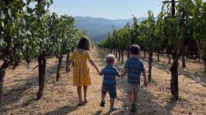 family friendly wineries in napa