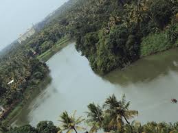 These three small rivers conglomerate at muvattupuzha to transform to the big muvattupuzha river and there from flows. Tale Of Five Towns The Tea Cerebrations
