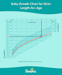 baby growth chart the first 24 months