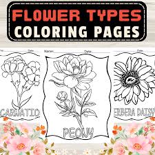 flower types coloring pages for kids