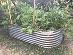 Galvanised Wicking Raised Garden Bed