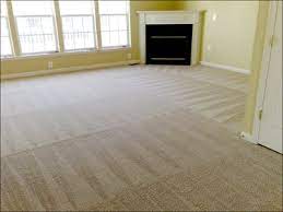 carpet cleaning services l greenville