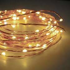 60 Warm White Led String Lights Battery Operated 20 Feet With Timer