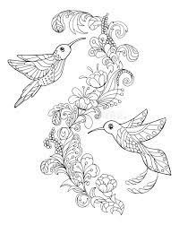Print all of our pages for free. Hummingbird Coloring Book Stock Vector Illustration Of Drawing 109245229