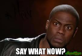 Say what now? meme - Kevin Hart The Hell (106563) • MemesHappen