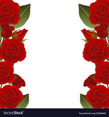 red rose flower frame border royalty