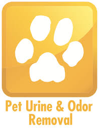 pet urine odor removal carpet