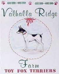 valhalla ridge farm toy fox terriers