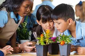 How schools can develop students' sustainable practices | The Educator K/12
