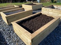 raised bed with healthy soil