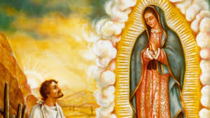 la virgen de guadalupe sus apariciones