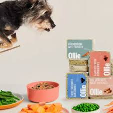 ollie dog food review an honest