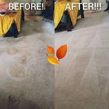 carpet repair in charleston sc