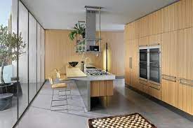 bamboo kitchen cabinets for house