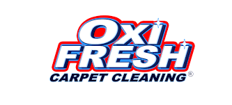 11 best carpet cleaning services