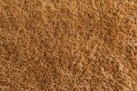 brown plush carpet texture