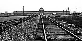 Image result for holocaust