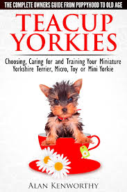 teacup yorkies the complete owners