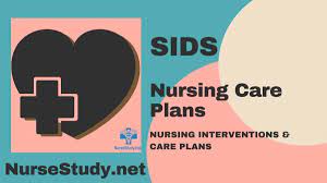 Sudden Infant Death Syndrome SIDS ...