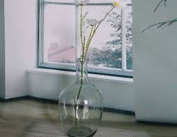 Home Decoration Clear Glass Flower Vase